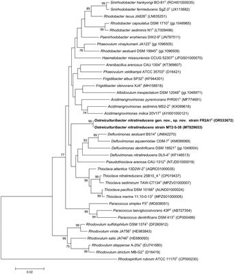 Genome-based analysis of the family Paracoccaceae and description of Ostreiculturibacter nitratireducens gen. nov., sp. nov., isolated from an oyster farm on a tidal flat